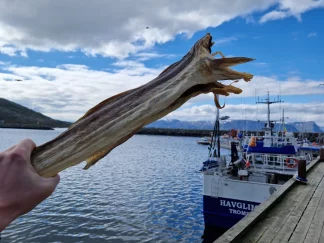 Tørrfisk av Skrei